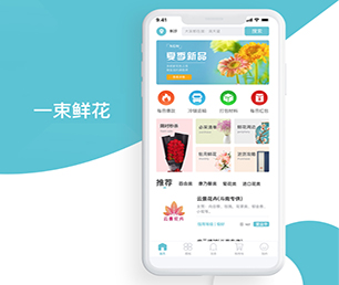 德州APP开发短视频电商系统让我们一起开发出你的下一个杰作【大甩卖，狂欢来袭！】
